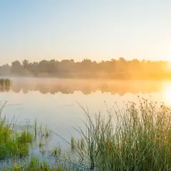 Plan d'eau de la Méchelle