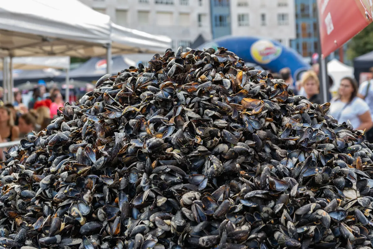 Les fameux tas de moules de la Braderie de Lille