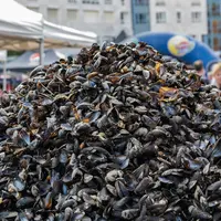Les fameux tas de moules de la Braderie de Lille DR