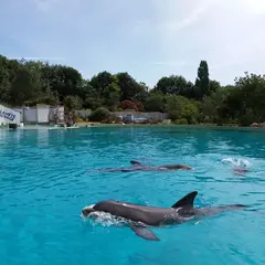 Planète sauvage