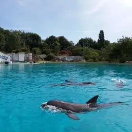 Planète sauvage