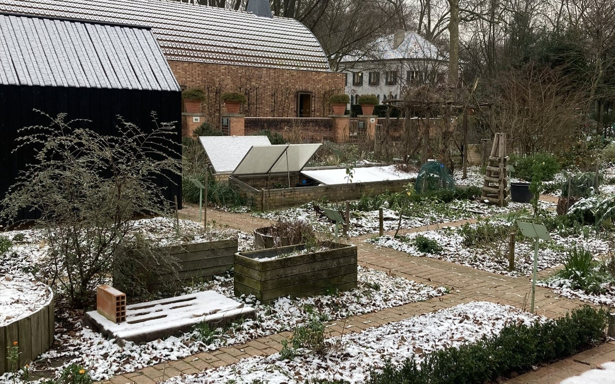 Potager de Bercy sous la neige