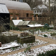 Planification : faire le plan et le planning de son potager