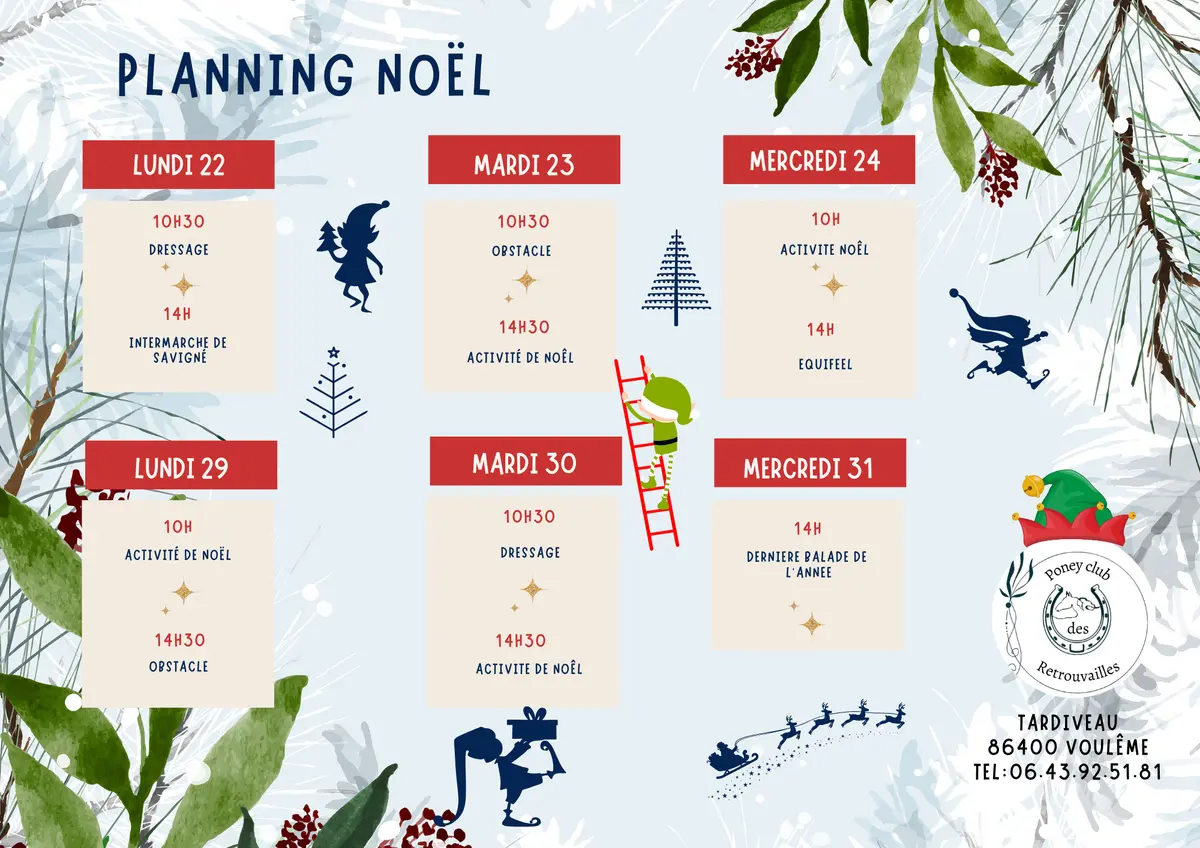 Planning de Noël : Dressage