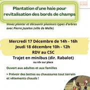 Plantation d'une haie