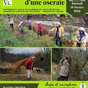 Plantation D'Une Oseraie à Castanet