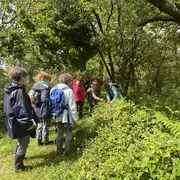 Plantes comestibles à la Réserve Naturelle Nationale de Mathon