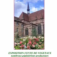Plantes en fête à l'Abbaye d'Autrey
