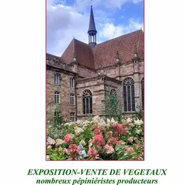 Plantes en fête à l'Abbaye d'Autrey