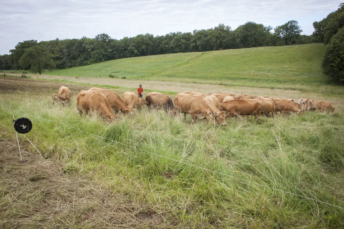 Plantes et Cie : bergers, bergères