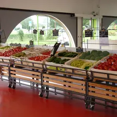 Plantes & de l’alimentation