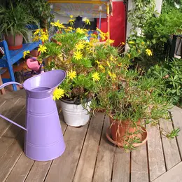 Fleurs : des fleurs sur mon balcon ou ma terrasse