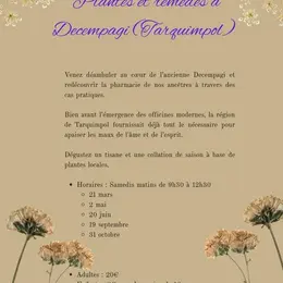 Plantes et remèdes à Decempagi