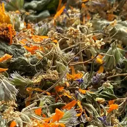 Plantes et savoir-faire à la Ferme de Jeu à Plaisance