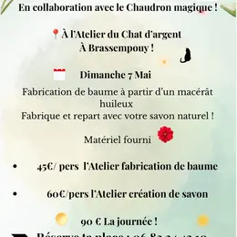 Plantes Lumières et soins
