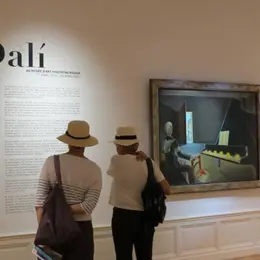 Plein Ciel Sur Les Collections - Visite Guidée Adulte