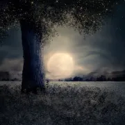 Pleine Lune - détente et connexion avec la nature