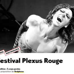 Plexus Rouge, 8è édition du festival à corps perdus