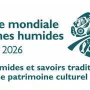 Plongez au cœur des zones humides d’Izadia