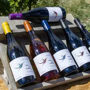 Plongez Dans Le Quotidien D'Un Vigneron