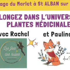 Plongez Dans Lunivers Des Plantes Médicales