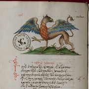 Plongez-vous dans les merveilles de la bibliothèque Sainte-Geneviève !