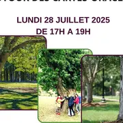 Plum(ailfe) Garden autour des Crates Oracles