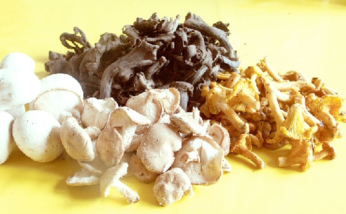 Poêlée de champignons