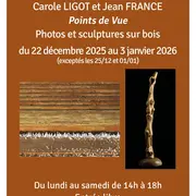 Points de vue par Carole Ligot et Jean France