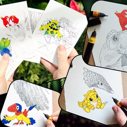 Pokémon et Biodiversité
