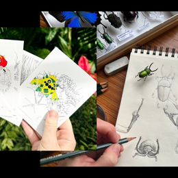 Pokémon et Biodiversité