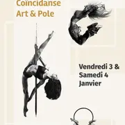 Pole Danse