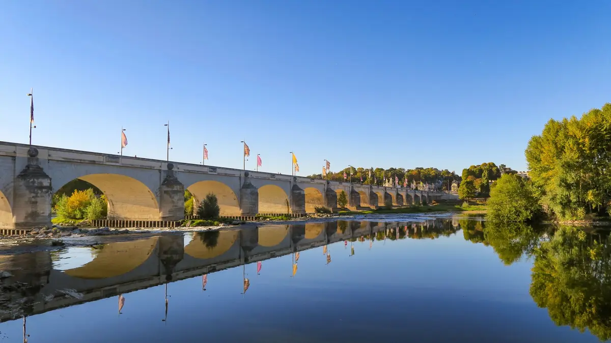 Pont Wilson à Tours