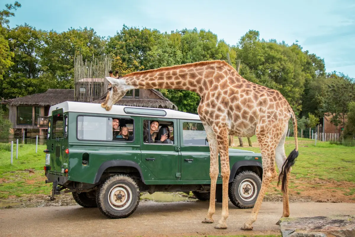 Ponts de mai &agrave; Nantes : 7 id&eacute;es incontournables en famille