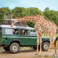Ponts de mai à Nantes : 7 idées incontournables en famille DR