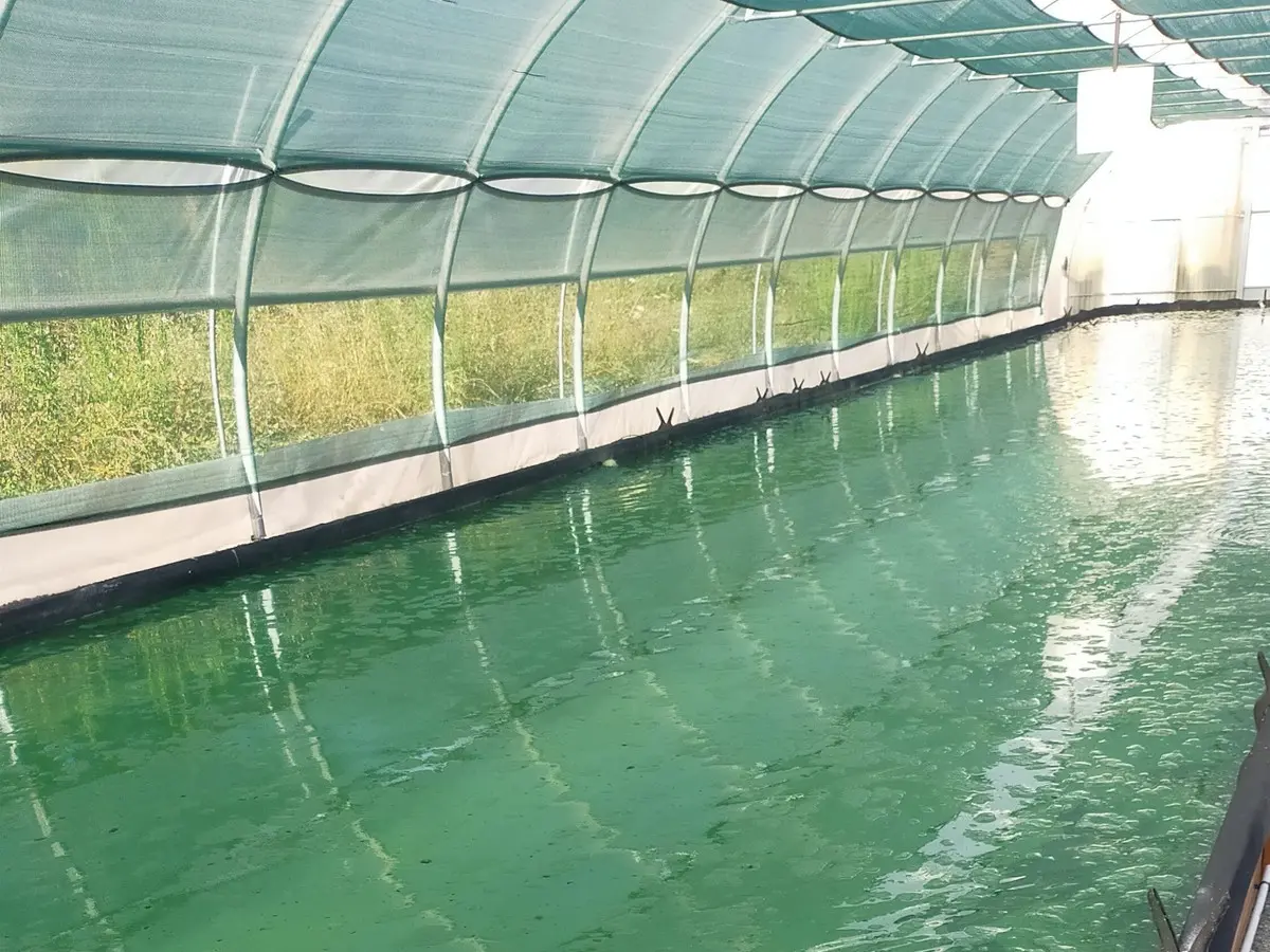 Portes Ouvertes à La Ferme Spir'Audoise