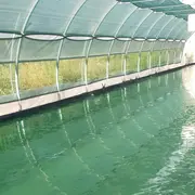 Portes Ouvertes à La Ferme Spir'Audoise