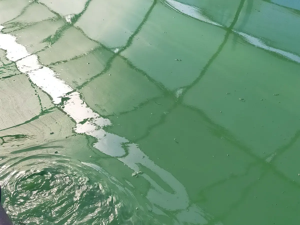 Portes Ouvertes à La Ferme Spir'Audoise