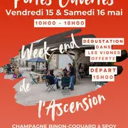 Portes ouvertes au Champagne Binon-Coquard