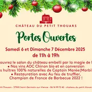 Portes ouvertes au Château du Petit-Thouars