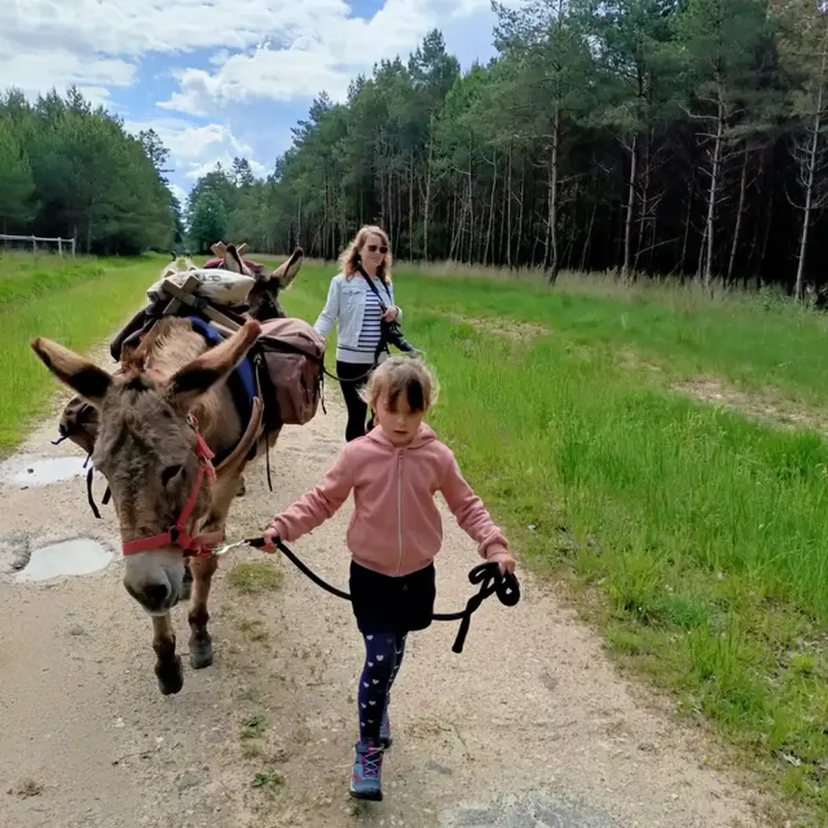 Portes ouvertes aux ânes de madame
