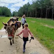 Portes ouvertes aux ânes de madame