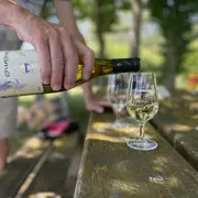 Portes Ouvertes Cave des vin de Venesmes