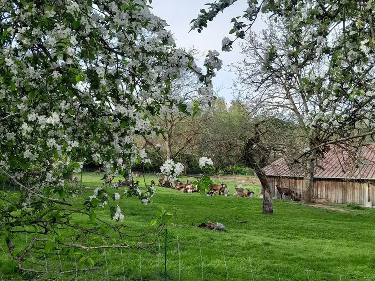 Portes Ouvertes de la Ferme du Fol'Epi