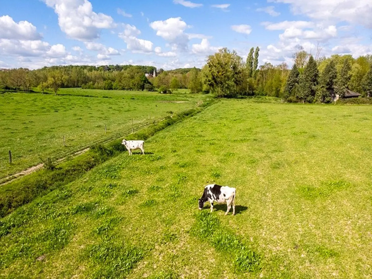 Portes ouvertes de la Fromagerie Maurice