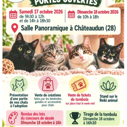 Portes ouvertes des Chats Mails