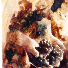 Portes Ouvertes des Crus Artisans - Chateau Moutte Blanc