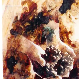 Portes Ouvertes des Crus Artisans - Chateau Moutte Blanc