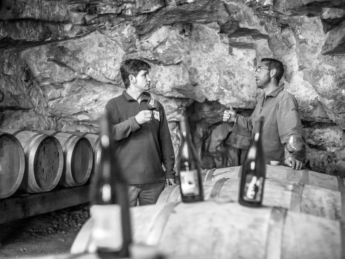 Portes Ouvertes Domaine Du Mortier