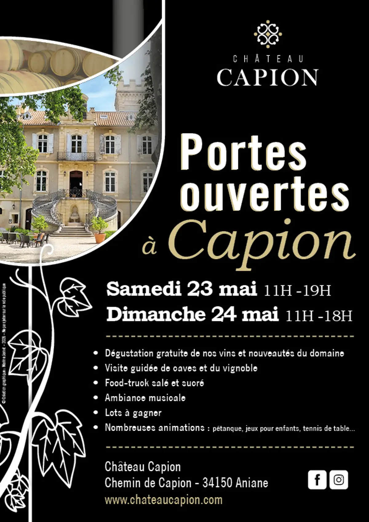 Portes Ouvertes Du Chateau Capion
